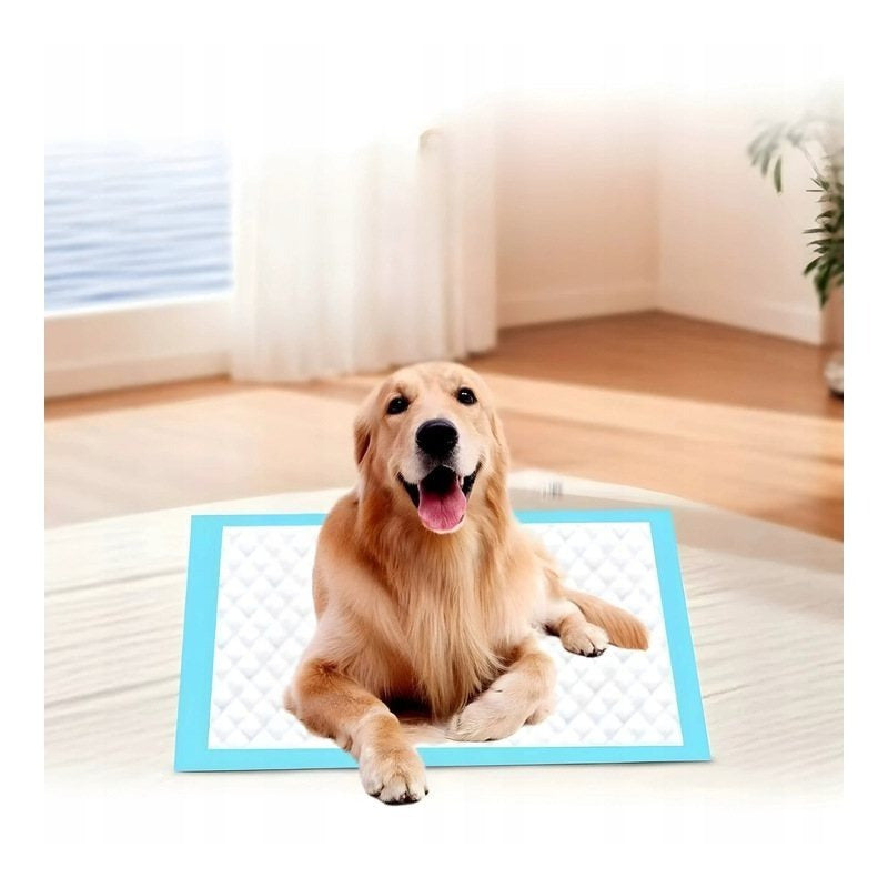 100 Pezzi Salviette Igieniche, Misura 40x60, Perfette per il Cambio del Pannolino, Cura di Anziani e Animali Domestici, Assorbenti, Alta Assorbenza, Protezione a 5 Strati, Morbide, Antigoccia, Sicure e Comode Salviette Monouso per Uso Quotidiano a Casa e