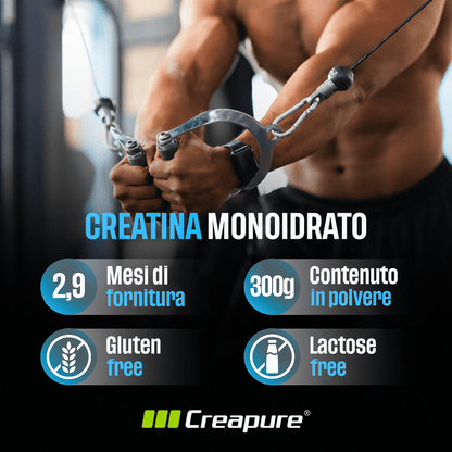 Alphaking Creatina Monoidrato 200 Mesh | Maxi Dosaggio: 3g per Dose | Qualità Premium | Supporto per Forza, Massa Muscolare e Performance | Massima Solubilità e Assorbimento