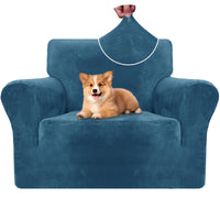 Blu pavone