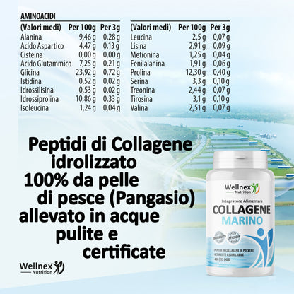 Collagene Marino Idrolizzato 45g | Integratore Alimentare - 15 Dosi | Peptidi di Collagene da pelle di Pangasio, fonte di Aminoacidi e Proteine | Wellnex Nutrition
