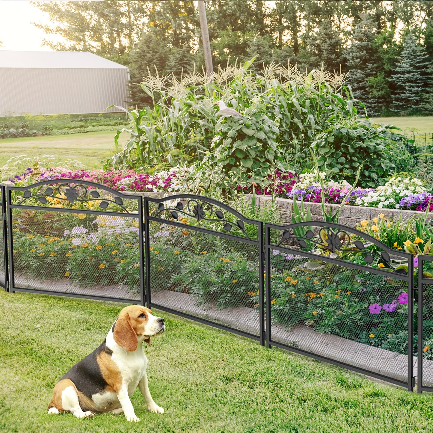Recinto decorativo a 5 pannelli per cani, recinzione da giardino in metallo nero, barriera per animali per giardino esterno, cortile, patio, antiruggine