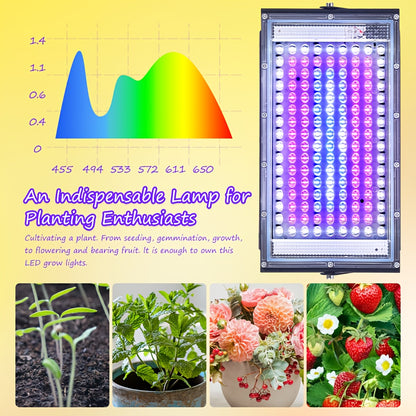 Set da 1/2/3 contenente 144 LED che forniscono luce a spettro completo per la coltivazione di piante, con spina USB 5V. Questa lampada da coltura sospesa include un interruttore on/off ed è adatta per piante da interno durante le fasi vegetativa e di fior