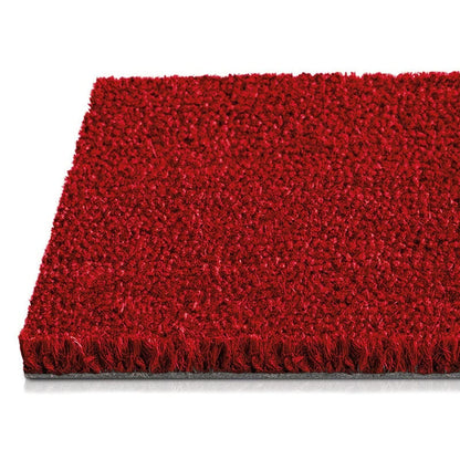 FLOORDIREKT Tappetino in Cocco - Tappetino per Ingresso Interno & Esterno - Tappetino per Porta d'Ingresso - Disponibile in 5 Colori & 3 Misure