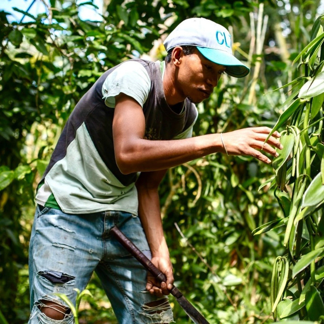 Polvere di Vaniglia Bourbon da Madagascar - Non Raffinata - Qualità Premium - Deliziosa e Aromatica - Ideale per Pasticceria e Dessert
