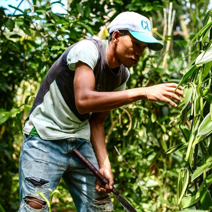 Polvere di Vaniglia Bourbon da Madagascar - Non Raffinata - Qualità Premium - Deliziosa e Aromatica - Ideale per Pasticceria e Dessert