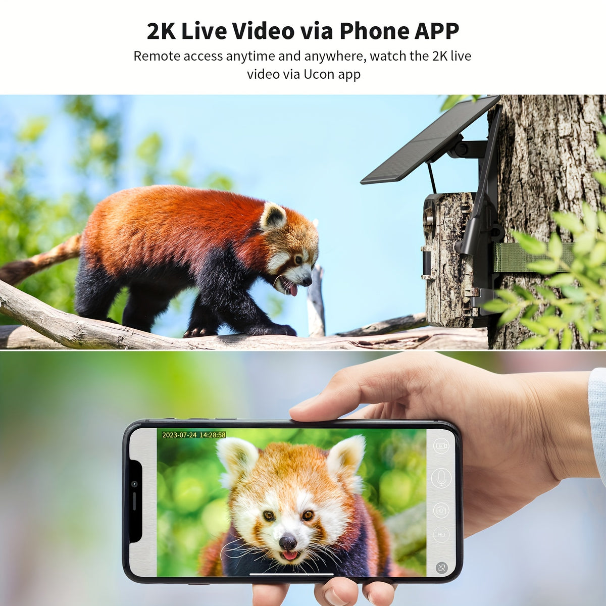 Foto/videocamere, 4G per uso quotidiano e casa – vista dettagliata 5