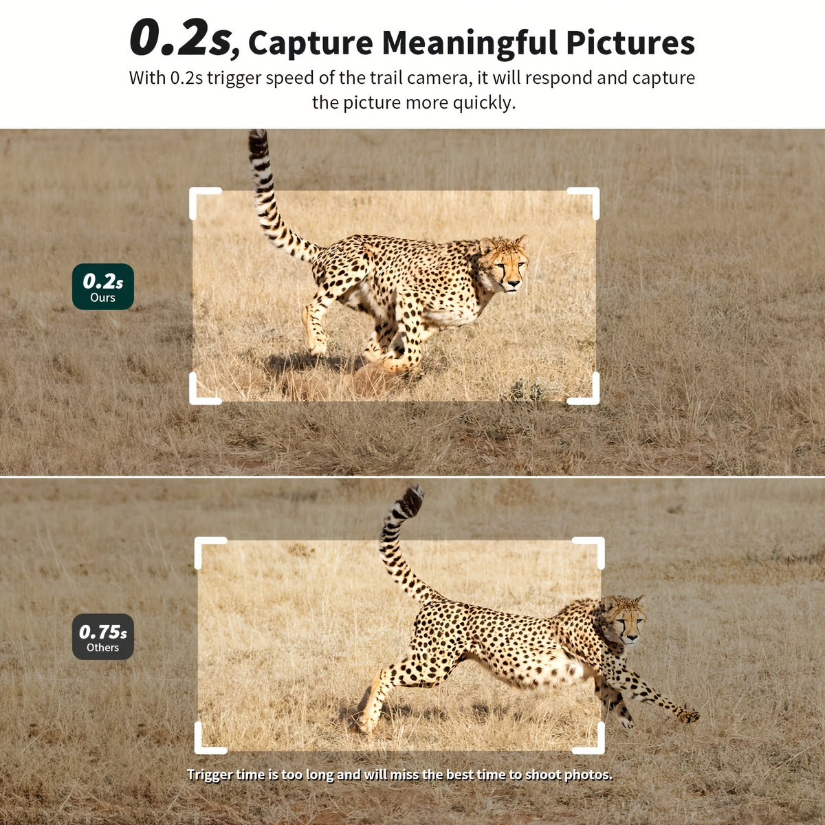 Foto/videocamere, 4G per uso quotidiano e casa – vista dettagliata 8