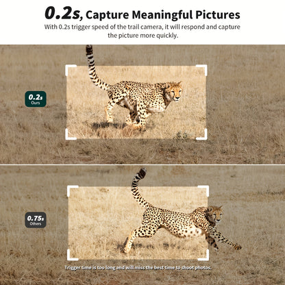 Foto/videocamere, 4G per uso quotidiano e casa – vista dettagliata 8
