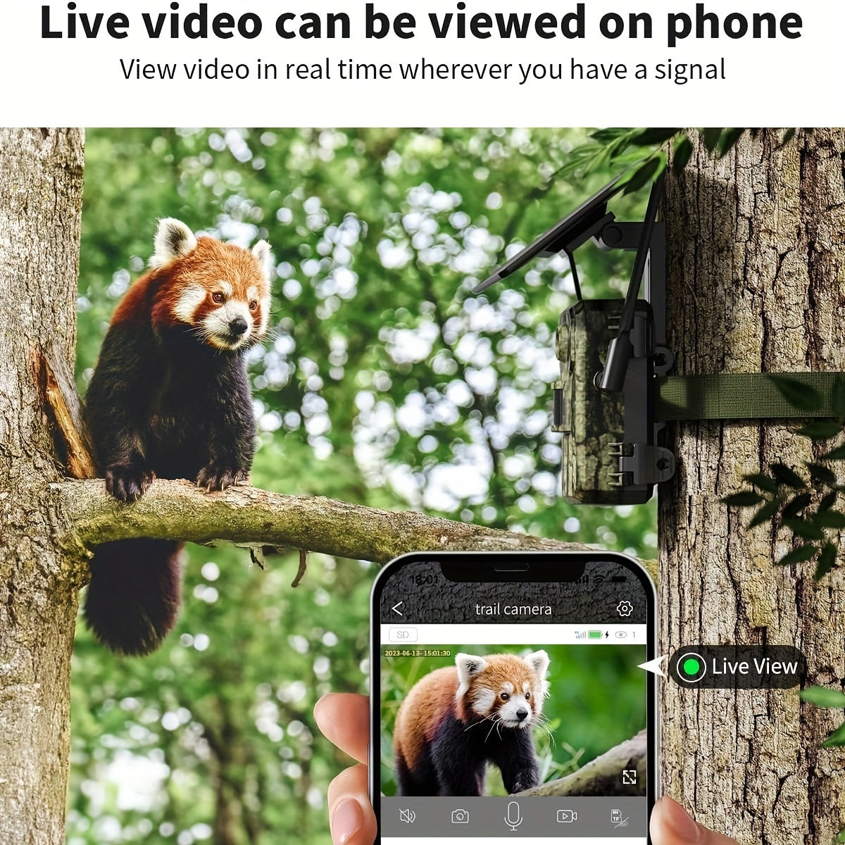 Fototrappola, 3G per casa e viaggio – vista dettagliata 4