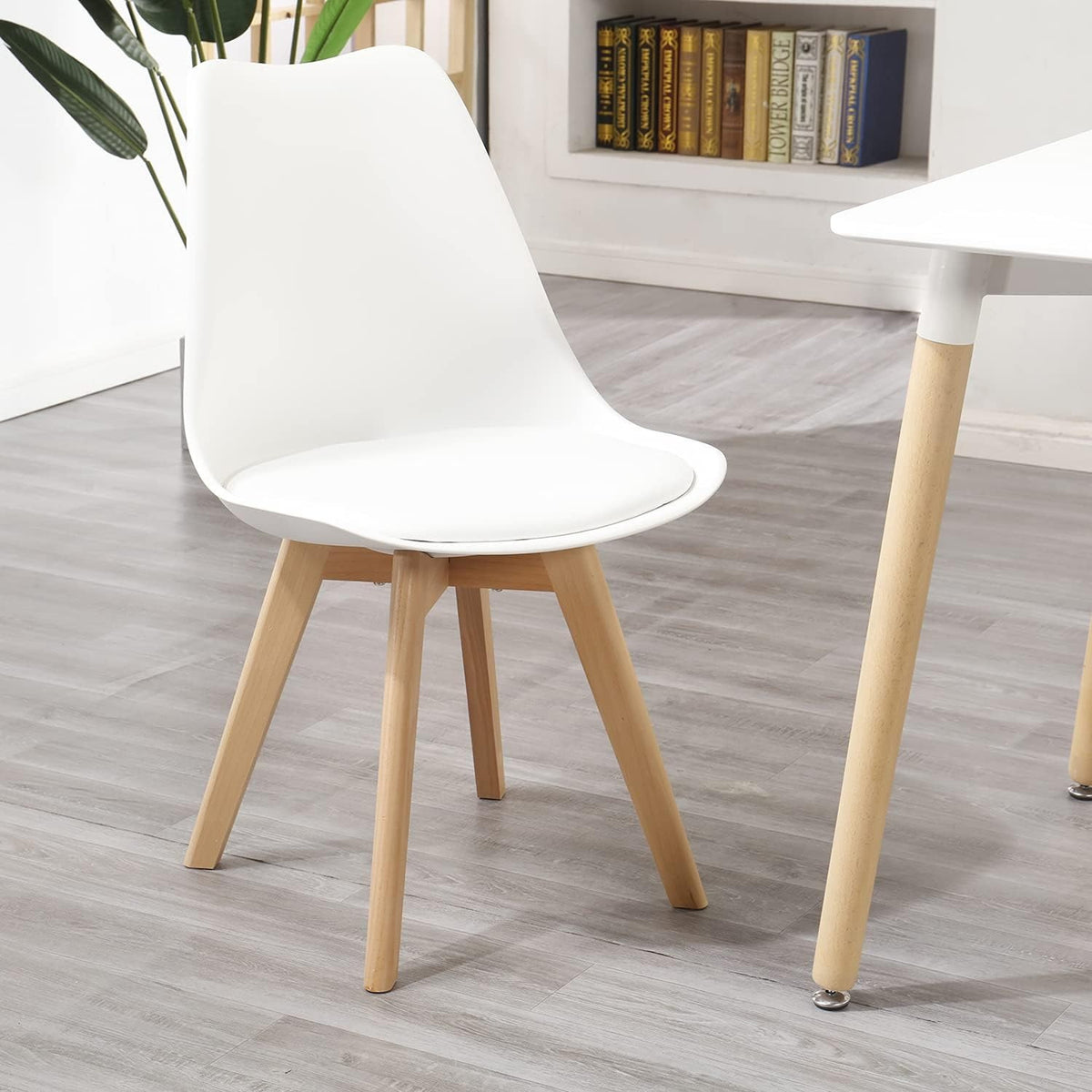 Sedia da pranzo, 1 Sedia per casa – vista dettagliata 5