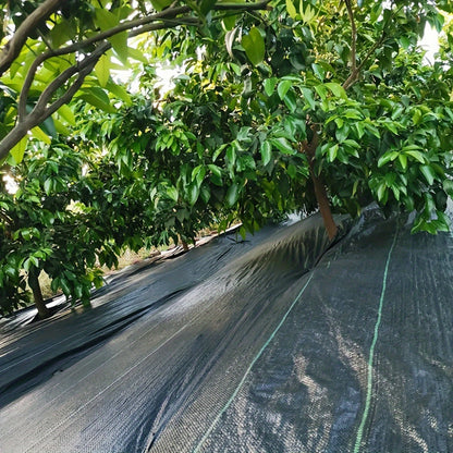 Telo antierba robusto, 100G per giardino e terrazza – vista dettagliata 3