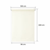 100x 220 cm