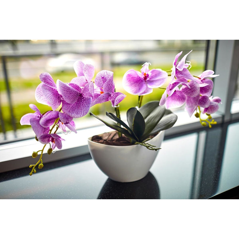 Terra Naturale, 3L per Orchidee 3L Biovita e uso quotidiano – vista dettagliata 7