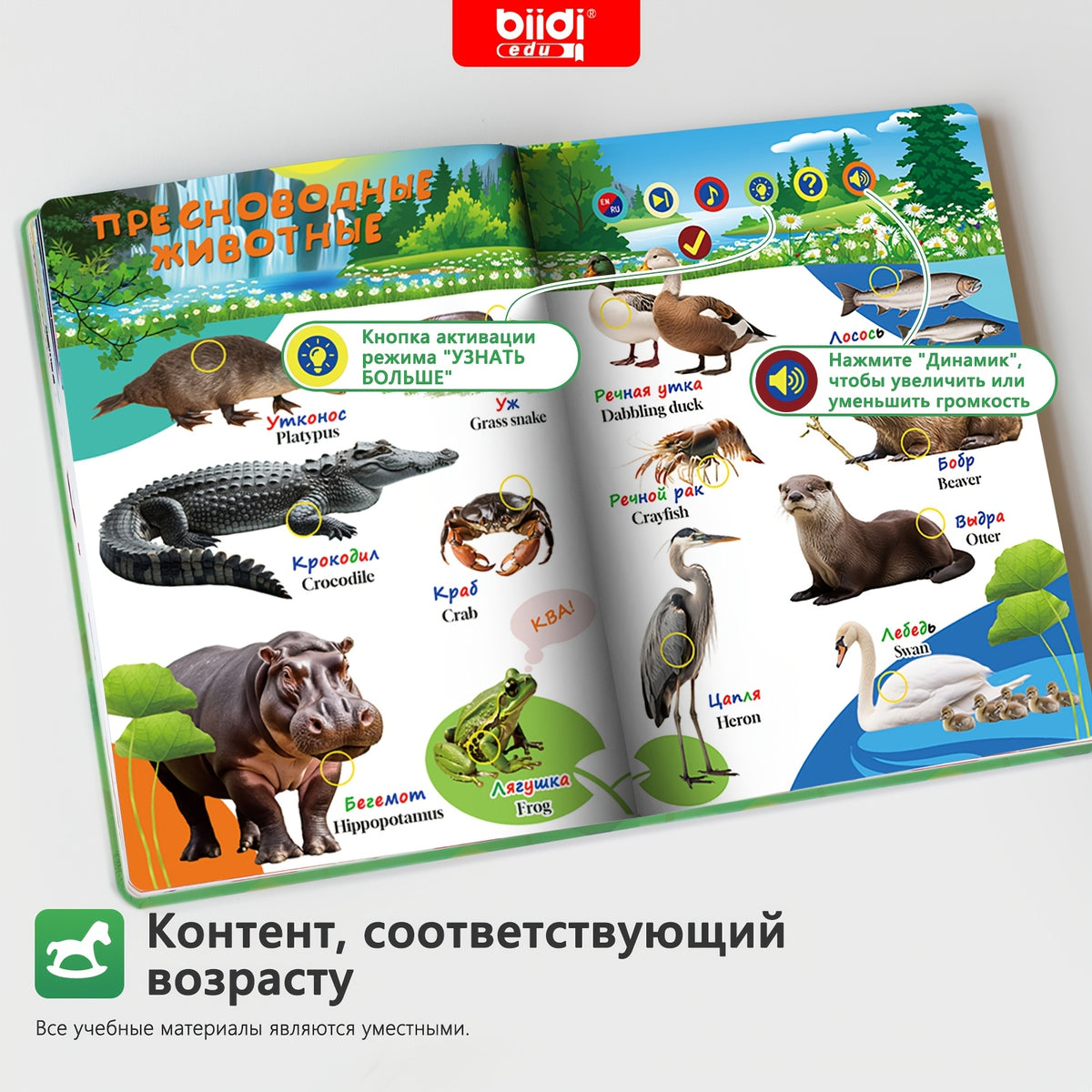 Una raccolta, BK-1 per animali e casa – vista dettagliata 3