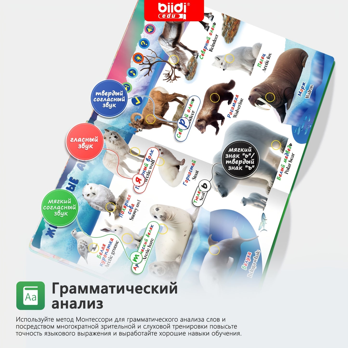 Una raccolta, BK-1 per animali e casa – vista dettagliata 5