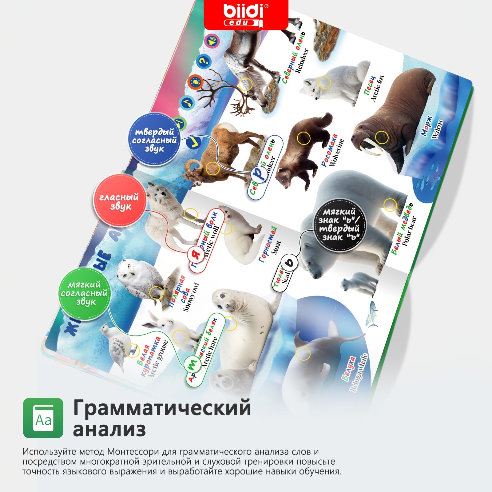 Una raccolta, BK-1 per animali e casa – vista dettagliata 5