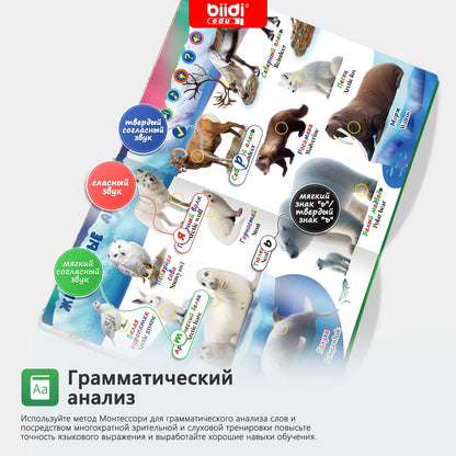 Una raccolta, BK-1 per animali e casa – vista dettagliata 5