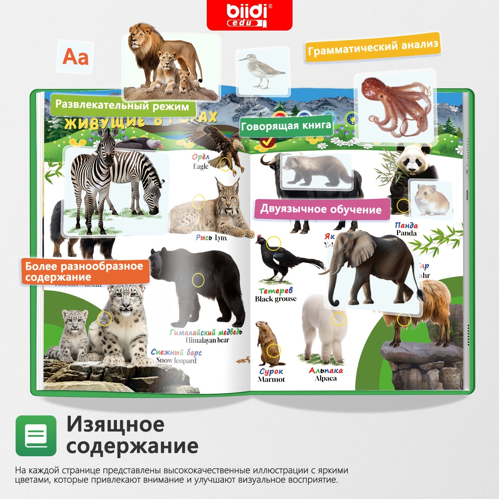 Una raccolta, BK-1 per animali e casa – vista dettagliata 6